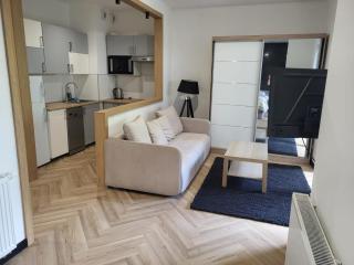 Apartamenty Gąsiorowskich 4 - Poznań - 2