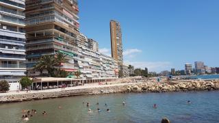 Gafner 8 - Alicante - 6