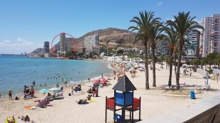 Gafner 8 - Alicante - 0