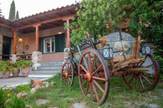 Traditional Villa Nea Peramos - 6