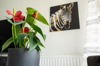 Douillet 2 pièces proche de Paris et de Disneyland - 0