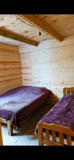 Giglas cottage on Gomismta - Gomi - 5