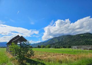 Apartma Ana in Manca - 6