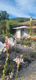 Mas Tulipe de Soie - Bevons - 3