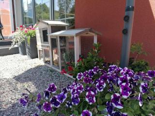 Gamtos Slėnis kaimo turizmo sodyba - 3