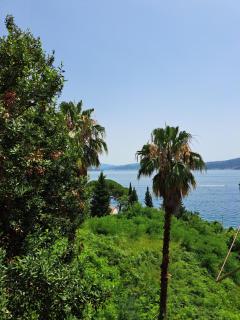Veronika - Herceg-Novi - 9