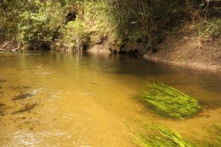 CAMPING em Alto Paraíso de Goias - 1