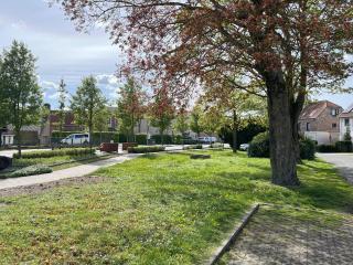 bbCedrus - Jabbeke - 2