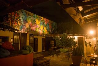 Tzunun Hostel - Antigua Guatemala - 3