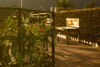 Tzunun Hostel - Antigua Guatemala - 2