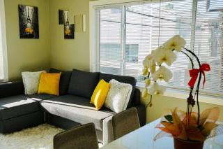 1BD Modern Venice Beach 12B - Los Angeles - 5