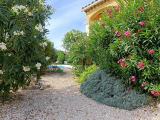 Villa entre Pont du Gard et Uzès - 7