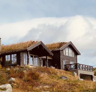 New, cozy, and comfortable cabin in Geilo - 0