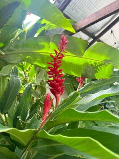 Hotel Serendipity - 2