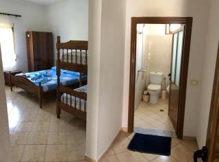 Family Green Spot - 8