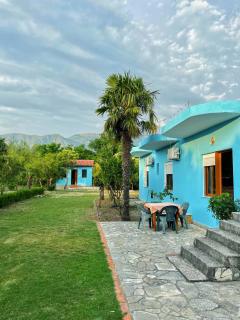 Family Green Spot - 6