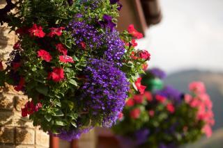 Glede Knowe Guest House - Innerleithen - 9