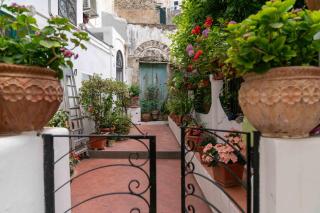 Il gatto Franco - Amalfi - 6