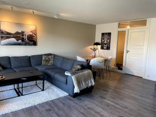 Big apartment in Trondheim - Trondheim - 9