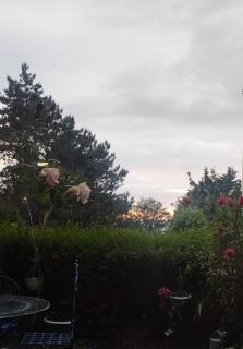 Studio proche de la mer avec jardin - 1