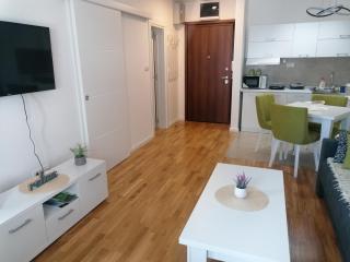 Apartman Relax Green Hill - Soko Banja - 5