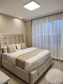 Cozy studio in Syokimau - 3