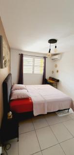 Appartement T2 lumineux - Cayenne - 2