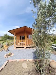 Glamping Entre Nopales, Villa de Leyva - Sáchica - 5