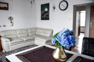 Apartament M&T Centrum - Bielsko-Biała - 9