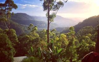 The Treepod of the Treehouse, Kinabalu farm - Durrumbul - 2