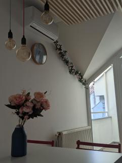 DiDi - Novi Sad - 1