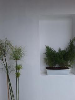 Casa Alba - San Salvador de Jujuy - 9