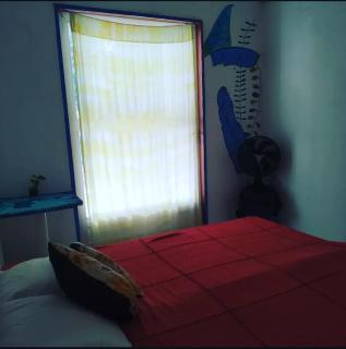 Casinha Blue Pipa - Pipa - 4