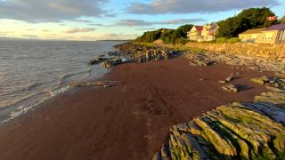 Rester Vivant Chambres d'hôtes - 5