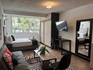 DST2 Nice studio in zone 15 - 2