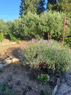 Secluded holiday house Kastel Stari, Kastela - 23384 - 5