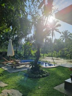 D'Pondok Sangaji Ricefield View by EPS - Penginyahan - 4