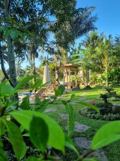 D'Pondok Sangaji Ricefield View by EPS - Penginyahan - 3