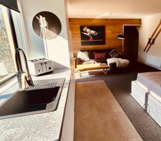 Stylish Mountain Studio - 1