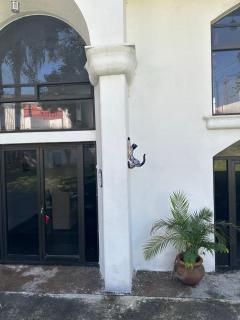 Casa Camelina - Cuernavaca - 1