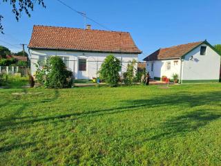 Ábrányi Nyírfás - 8