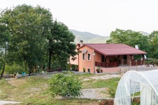 Oasis of Peace Meterizi - Cetinje - 8