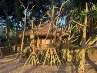 Coconut Bar - Bentota - 0
