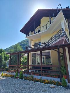 Casa Astoria - Băile Herculane - 9