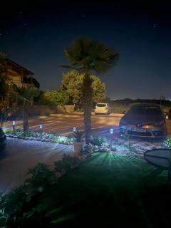 Apartments Bernarda 2 - Nin - 8