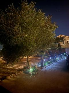 Apartments Bernarda 2 - Nin - 9