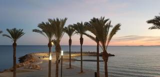 BAJAMAR - Torrevieja - 3