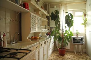 Cozy classic apartment near The Office - Cluj-Napoca - 7