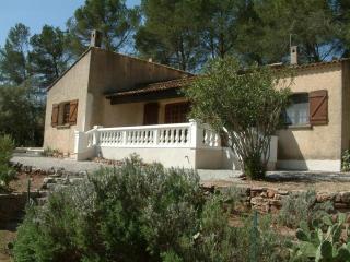 Le gite "les oliviers" - - 7