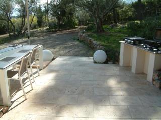 Le gite "les oliviers" - - 1